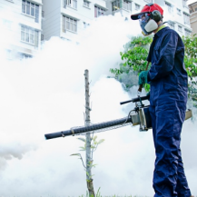 Mosquito Control
